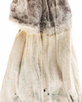 Golden Teachers Magic Mushrooms