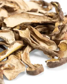 Porcini Mushrooms – Dried porcini mushrooms in UK
